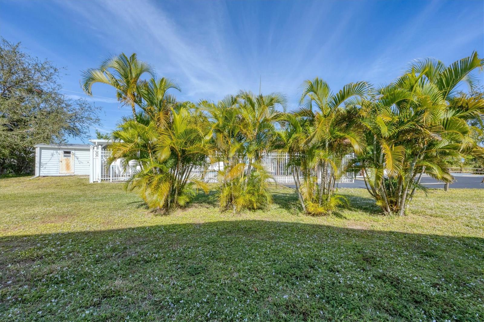 PINES AT SANDALHAVEN - Residential