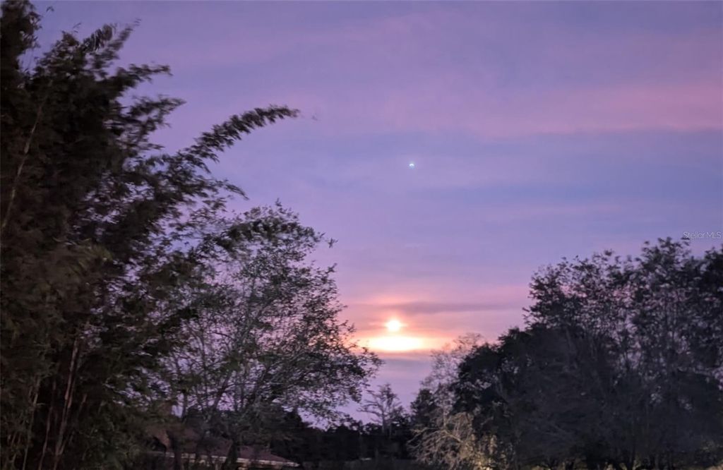 Photo of 13009 Roberts Island Road, Orlando, FL 32832 (MLS # O6385557)