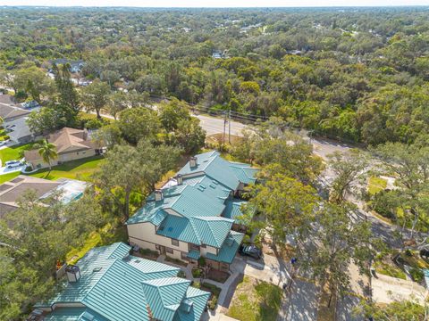 A home in PALM HARBOR