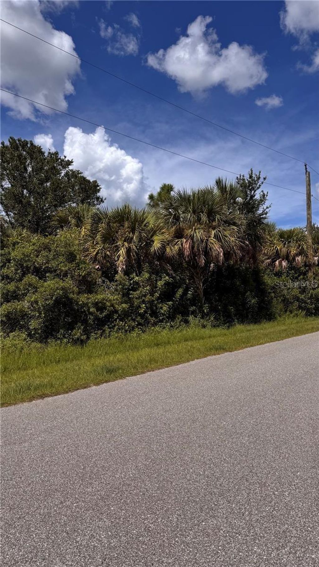 Photo of 13068 Doubleday Avenue, Port Charlotte, FL 33953 (MLS # C7515889)