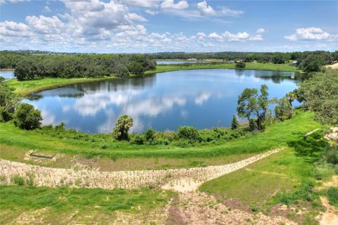 Tiny photo for 157 Tranquil Mirror Lake Court #Lot 10, Clermont, FL 34711 (MLS # O6391254)