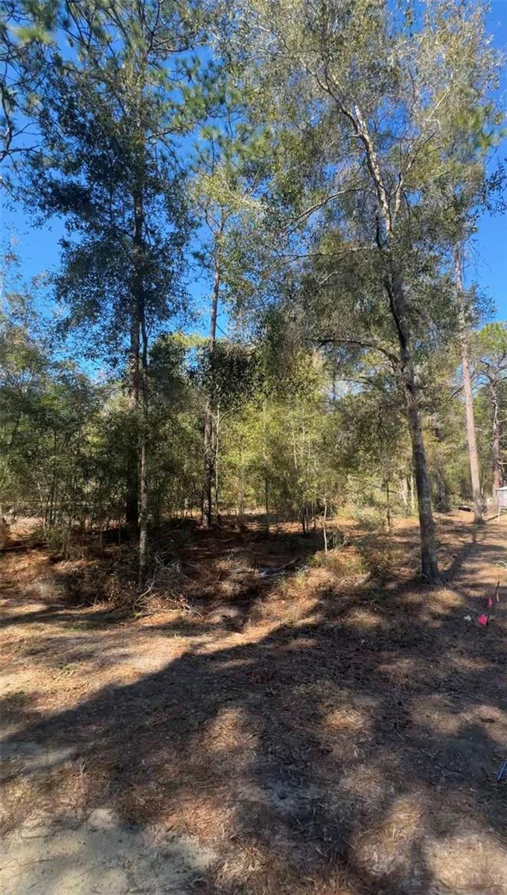 Photo of Tbd SW 45th Circle, Ocala, FL 34474 (MLS # OM723056)