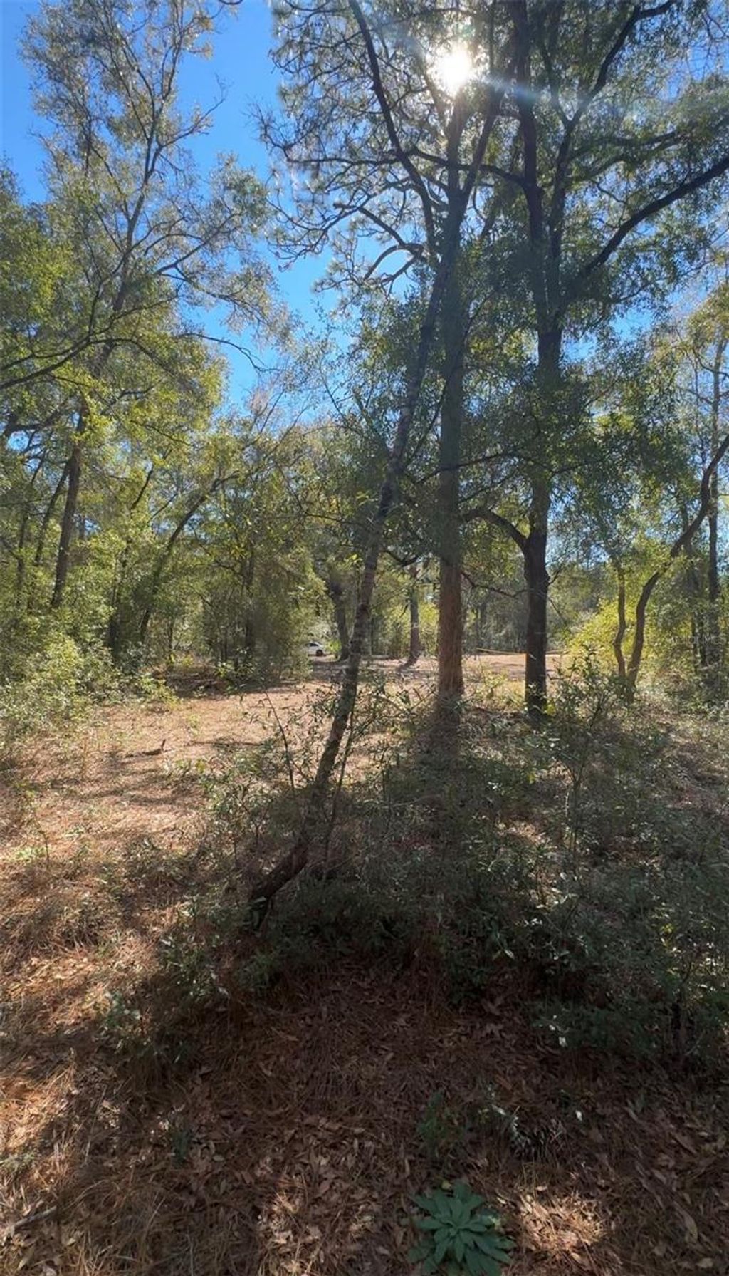 Photo of Tbd SW 45th Circle, Ocala, FL 34474 (MLS # OM723056)