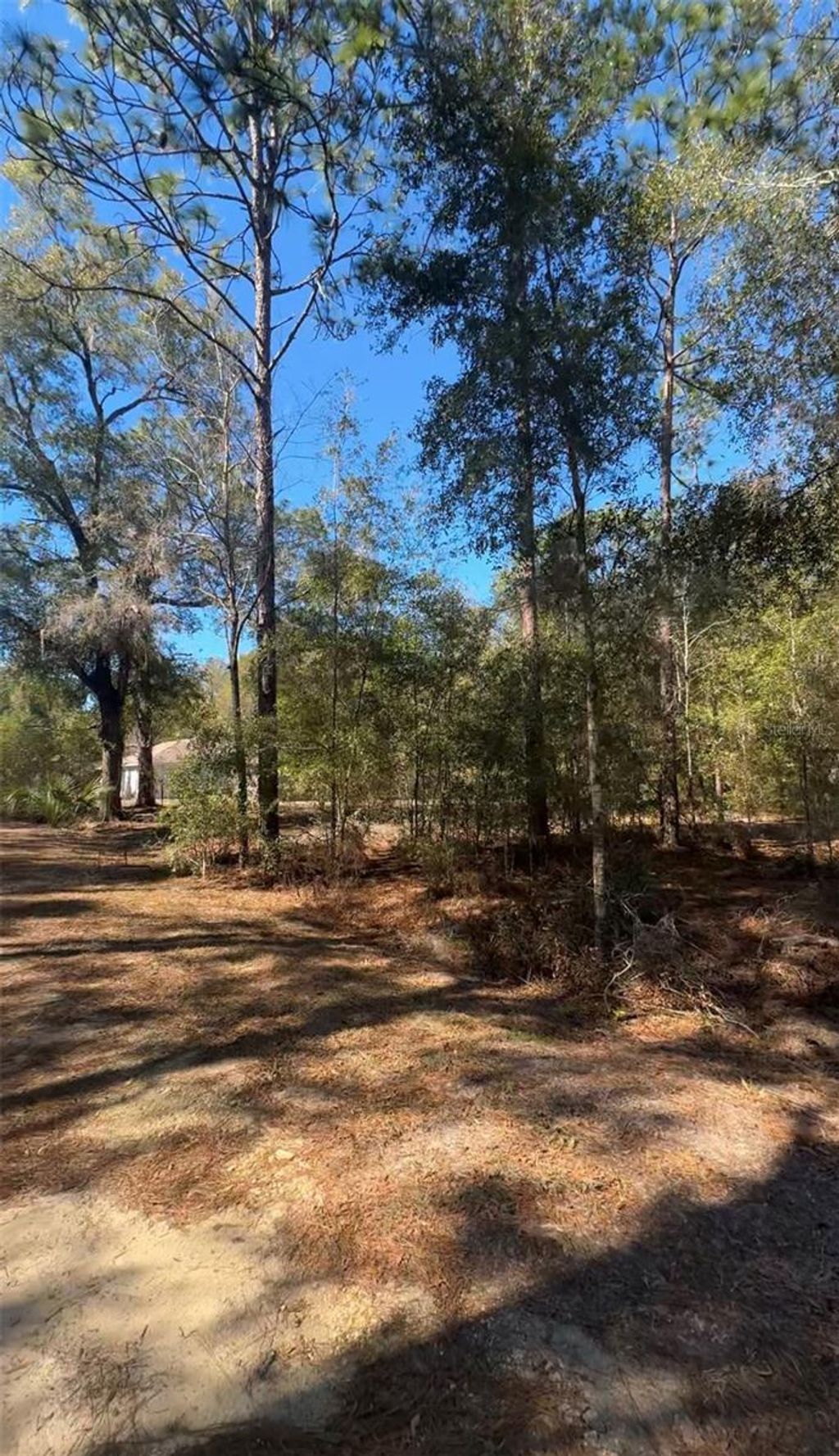 Photo of Tbd SW 45th Circle, Ocala, FL 34474 (MLS # OM723056)
