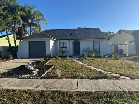 12329 WITHERIDGE DRIVE TAMPA FL 33624