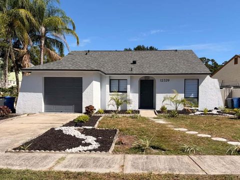 Photo of 12329 Witheridge Drive, Tampa, FL 33624 (MLS # TB8435628)