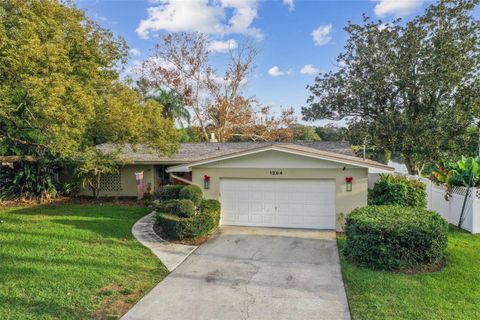 1204 ECKLES DRIVE TAMPA FL 33612