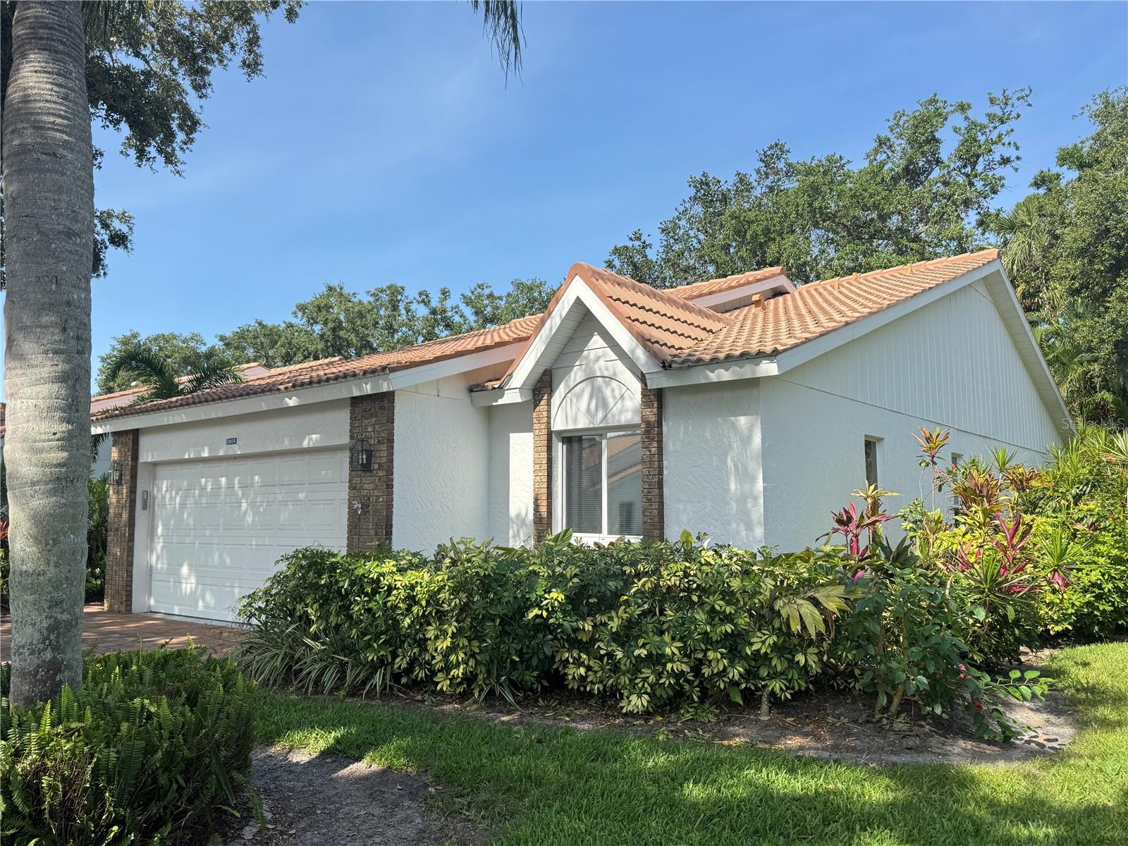 5804 GARDEN LAKES FERN