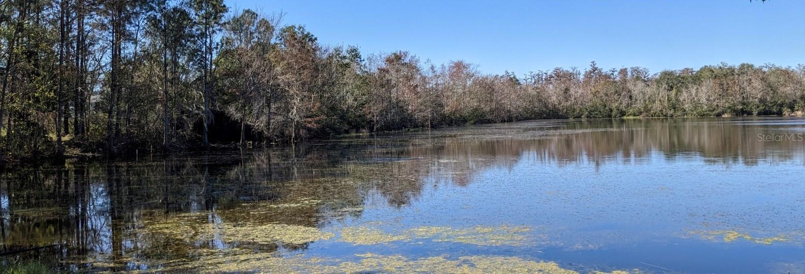 STONEBRIDGE PH 01 - Residential Lease