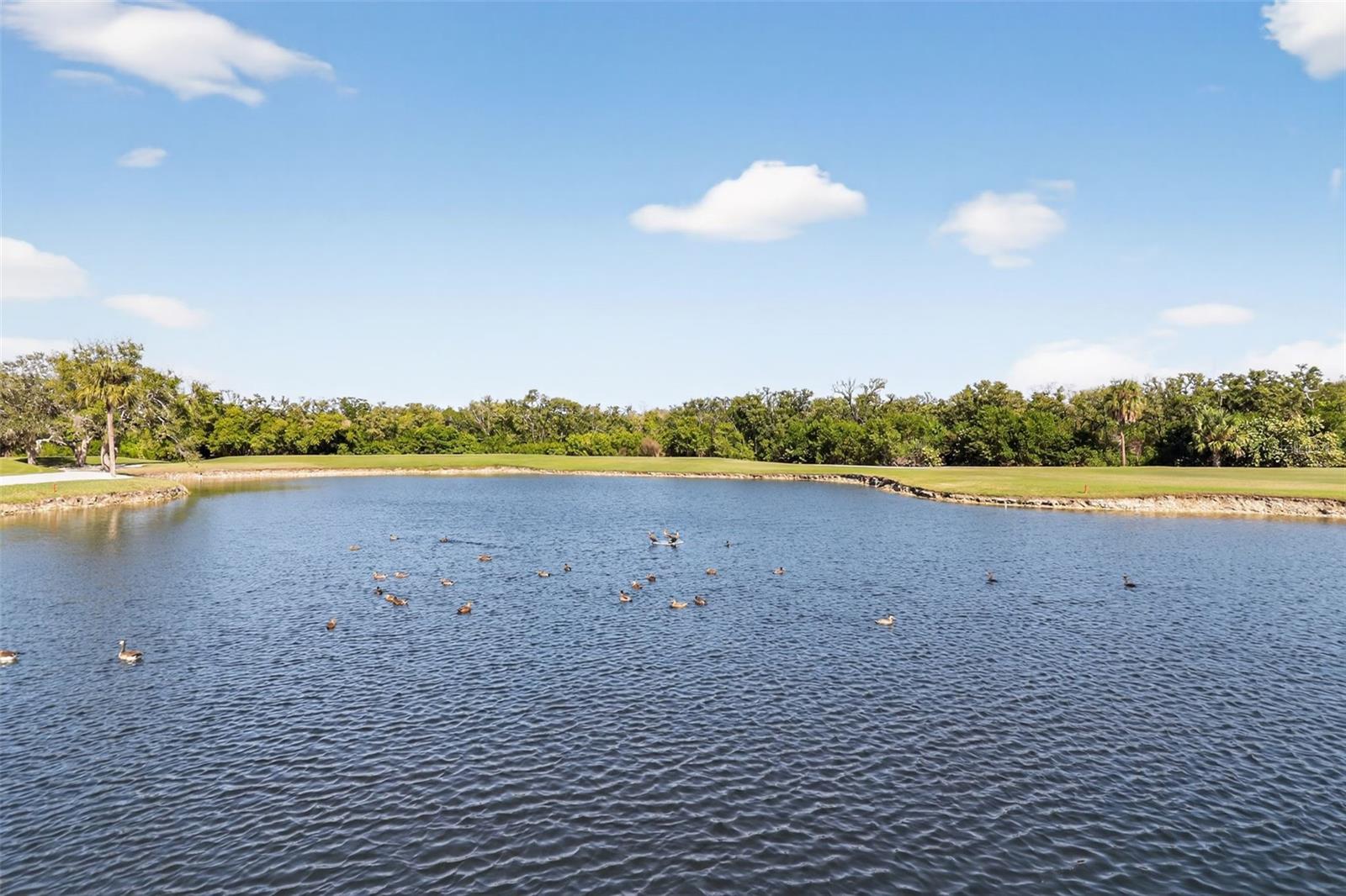 CRYSTAL BAY CONDO - Residential