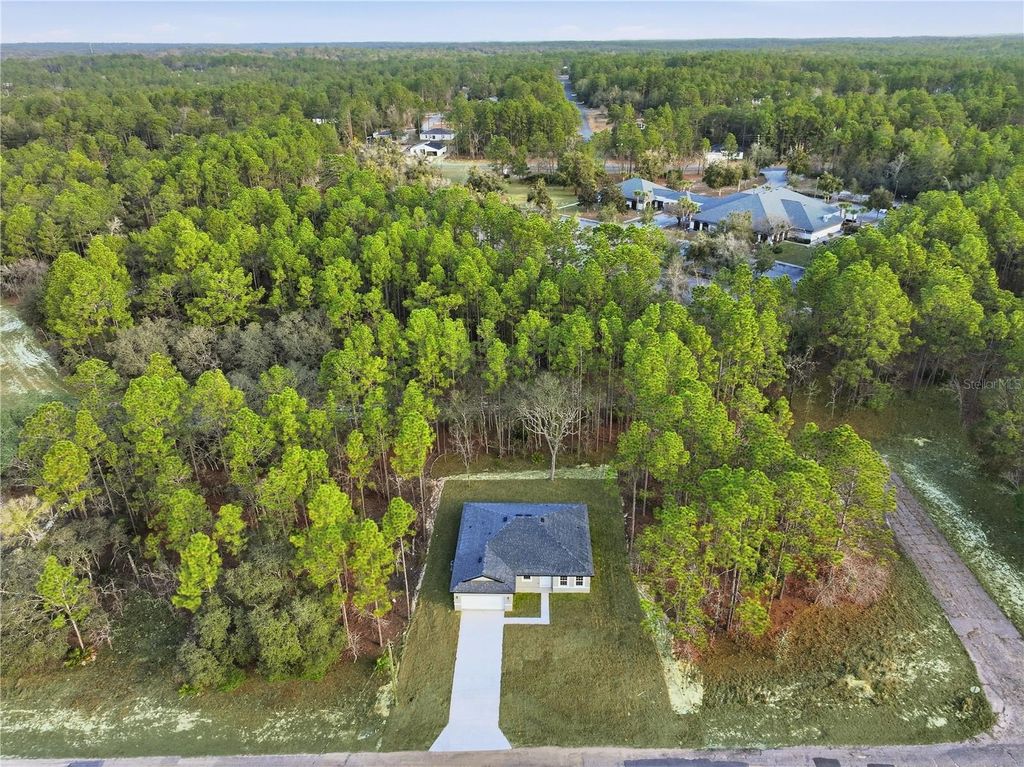 Photo of 1575 W Lamplighter Street, Citrus Springs, FL 34434 (MLS # OM714305)