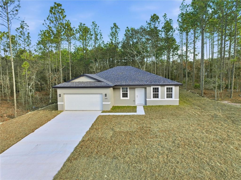 Photo of 1575 W Lamplighter Street, Citrus Springs, FL 34434 (MLS # OM714305)