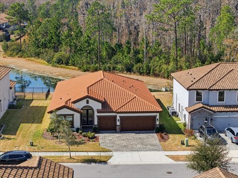 Photo of 4011 Burdick Loop, Odessa, FL 33556 (MLS # TB8477000)