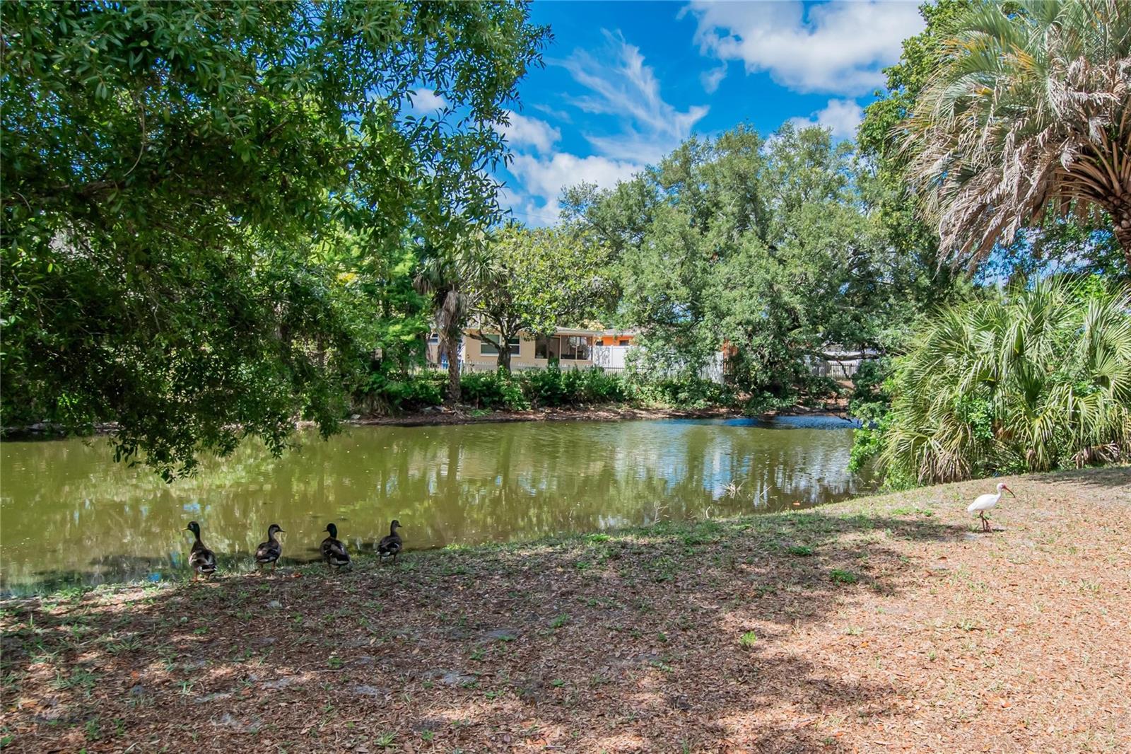 CYPRESS TRAILS TWNHMS OF TARPON SPGS - Residential