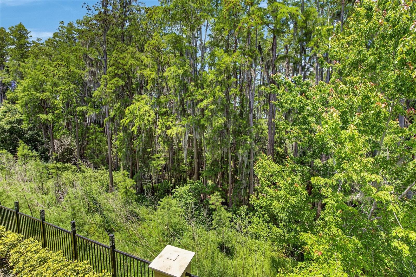 CYPRESS TRAILS TWNHMS OF TARPON SPGS - Residential