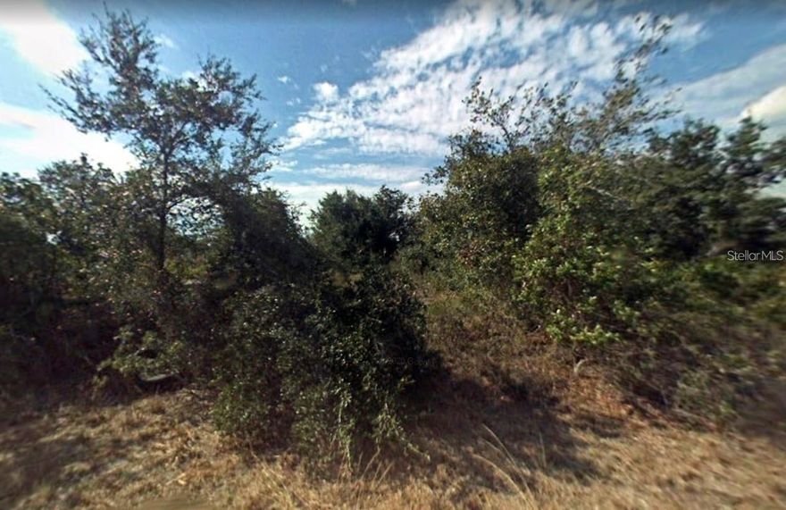 This buildable lot is located in a desirable Flood Zone X, offering peace of mind with no required flood insurance. The property provides an excellent opportunity to design and build your dream home or investment property in a growing area. Conveniently situated near shopping, dining, schools, and major roadways, this lot combines accessibility with potential. Whether you are looking to build now or hold as an investment, this parcel is ready for your vision.
