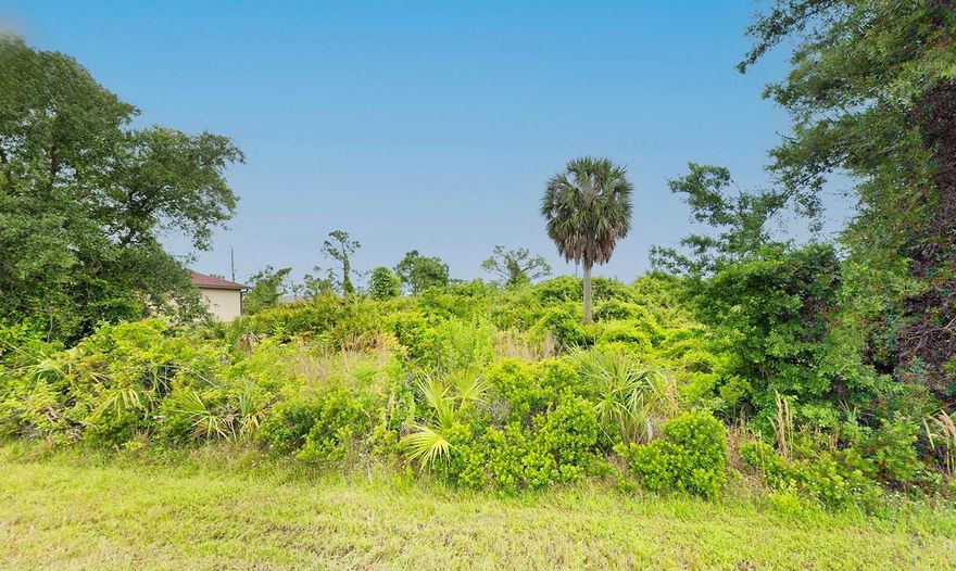 Residential RMF10 Vacant lot in Port Charlotte. Land can be used to build single family home or multi-family with density of no more than 10 units in one acre. This lot would be great for a single family resident or a Duplex as investment. RMF10 allows to build from single family to multi-family under the density of 10 units within 1 acre. This lot is in a great location! Close to Porto Charlotte Town Center Mall, Spring training facilities. Fast growing area and close to beaches, shopping, medical, golf courses and more. City / Public water available near by. Great for a single family or a duplex as investment. It is in a none Flood zone area.