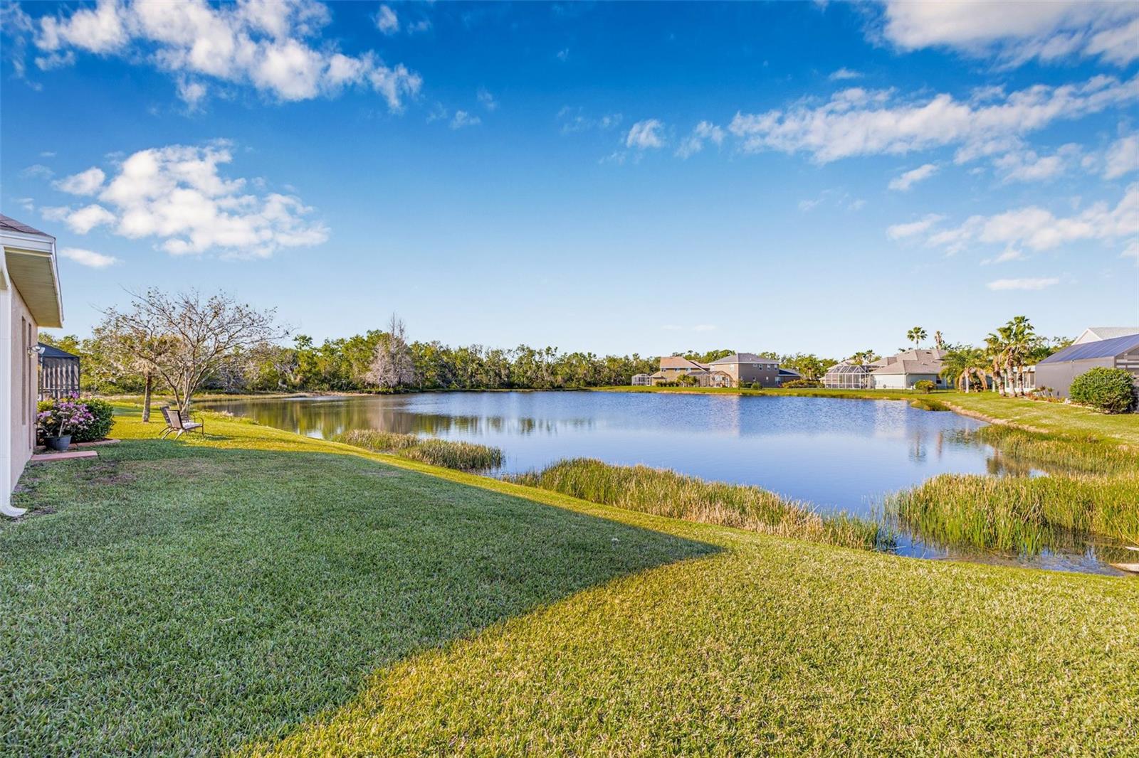 OAKLEAF HAMMOCK - Residential