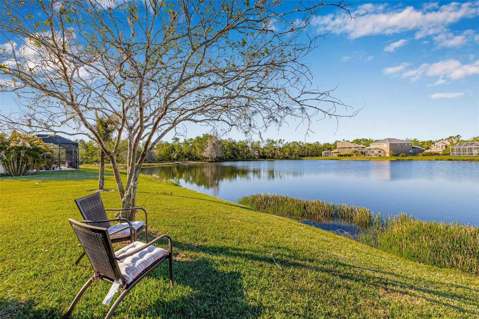 OAKLEAF HAMMOCK - Residential