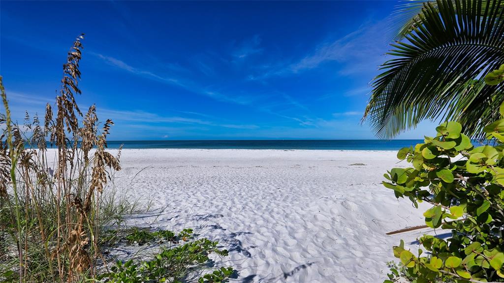 LIDO C - Residential