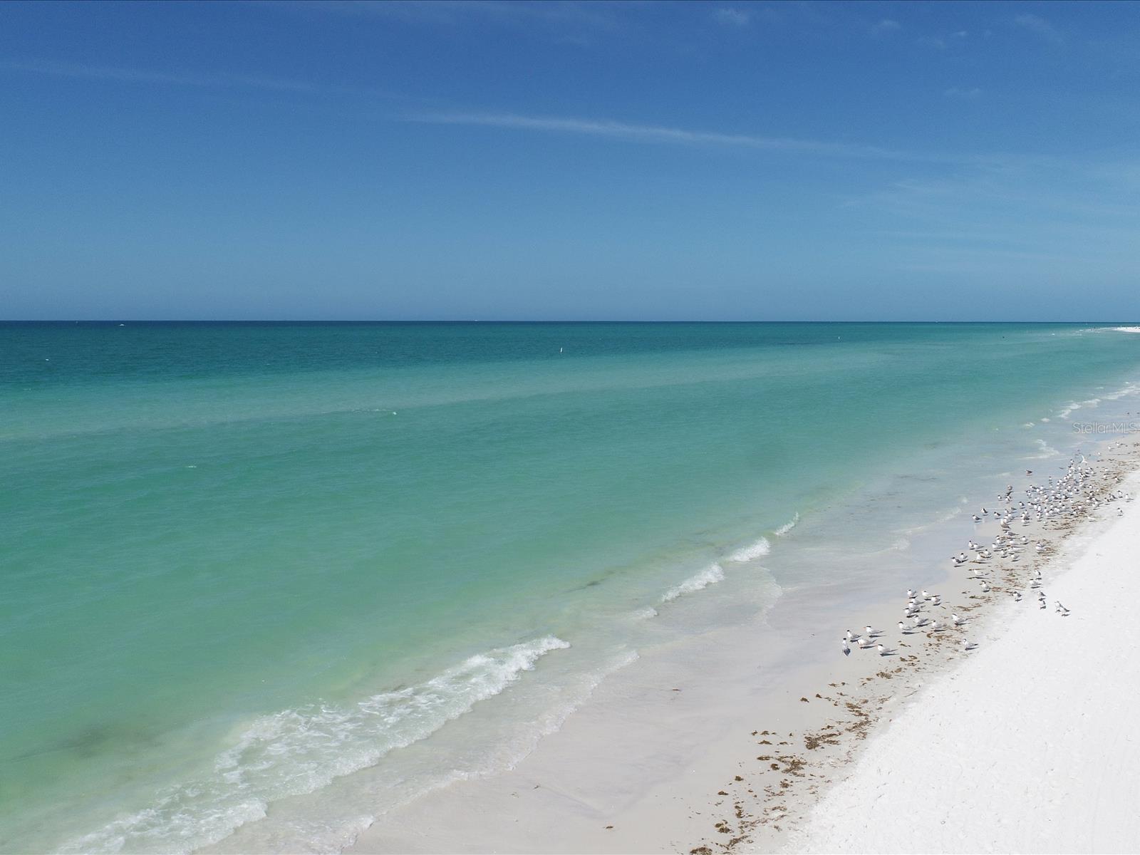 CONQUISTADOR BAY CLUB - Residential