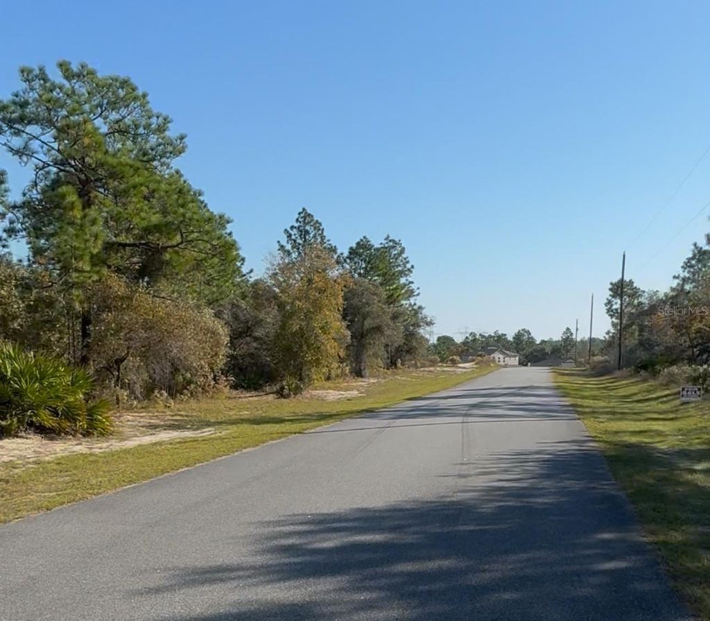 Photo of 6783 N Pavilion Loop, Citrus Springs, FL 34433 (MLS # O6377812)