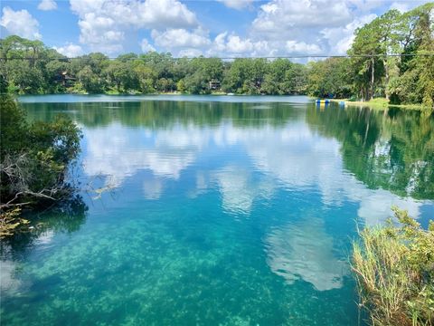 Tiny photo for 19938 Burkitt Road, Dunnellon, FL 34432 (MLS # OM700911)