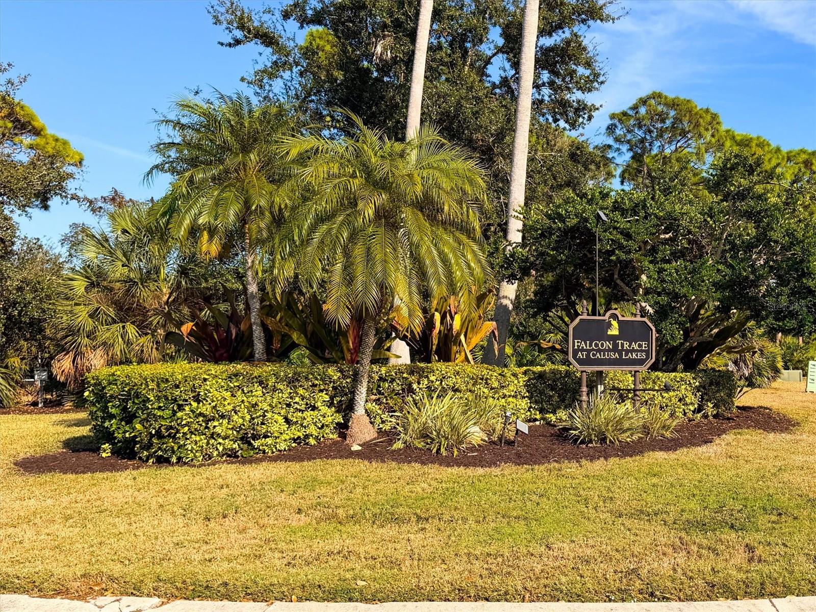 FALCON TRACE AT CALUSA LAKES - Residential