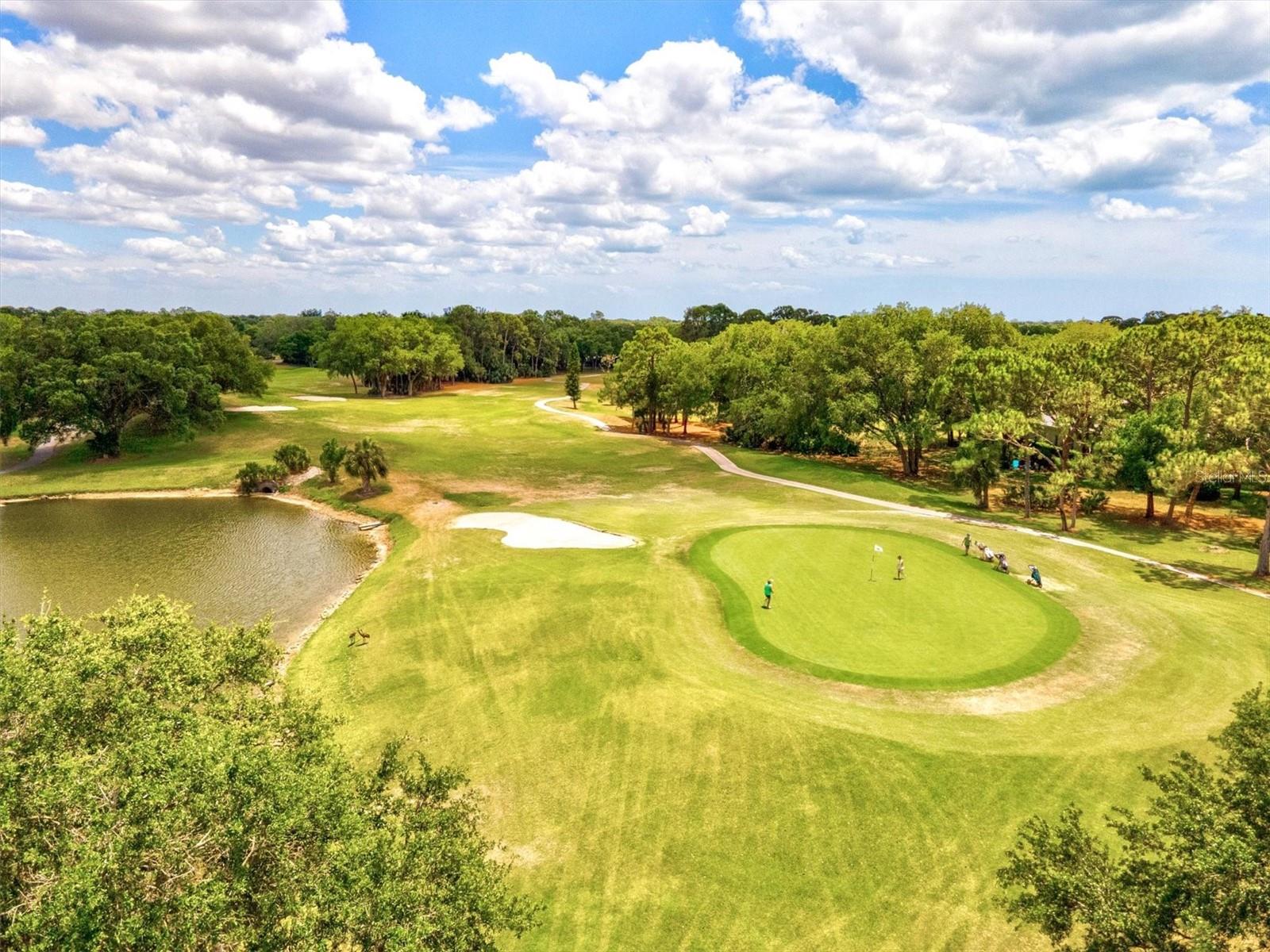 FALCON TRACE AT CALUSA LAKES - Residential
