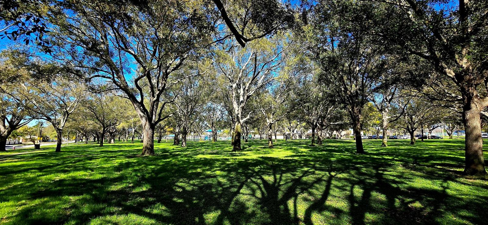 JUNGLE TERRACE SEC A - Residential