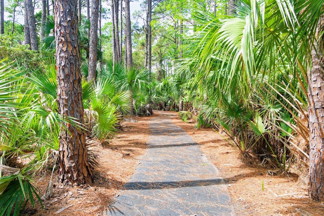 PALM COAST PLANTATION PUD UN 3 - Residential