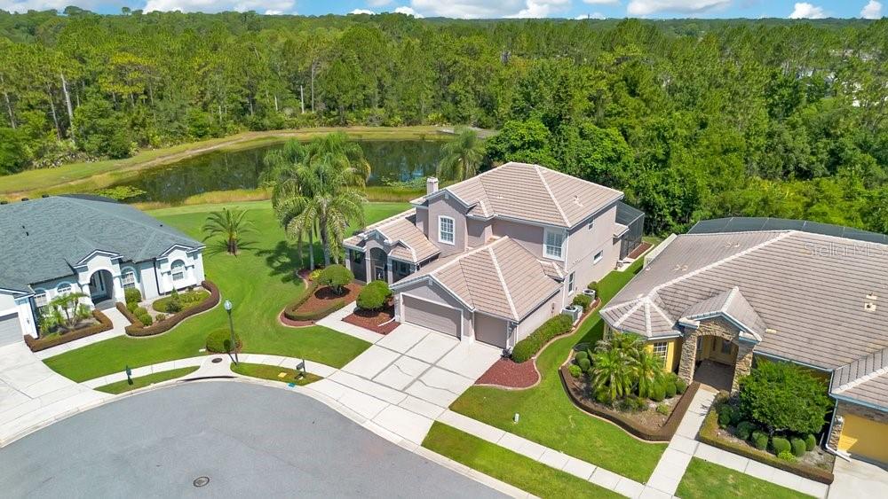 9211 SHADOW PINAR COURT