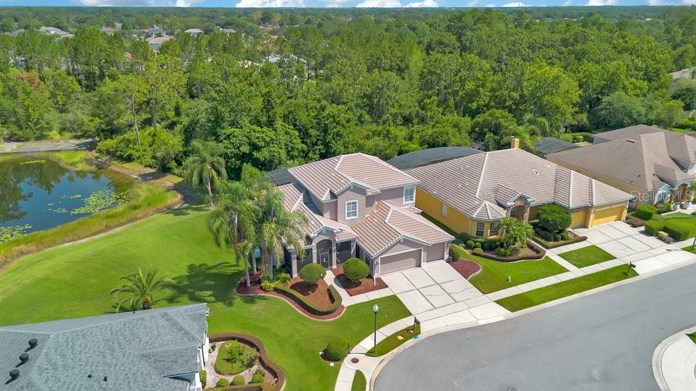 9211 SHADOW PINAR COURT