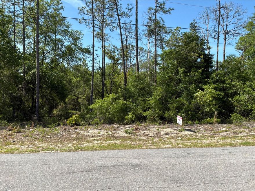 Come build your dream home in beautiful Rainbow Lakes Estates. High and Dry 0.99 acre lot, sits on a beautifully wooded landscape with a paved road. Just minutes from the community park, lakes and the amazing Rainbow River. Quick access to restaurants, shopping and a short drive to the Gulf. 30 minutes to Ocala and the World Equestrian Center. Zoned R1 Residential homes only. Make Rainbow Lakes Estates the community to call home. No HOA!