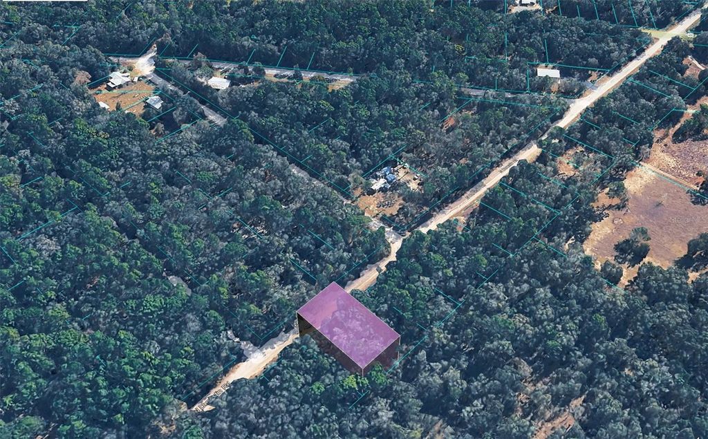 Photo of 10452 N Dunedin Road, Dunnellon, FL 34433 (MLS # TB8487297)