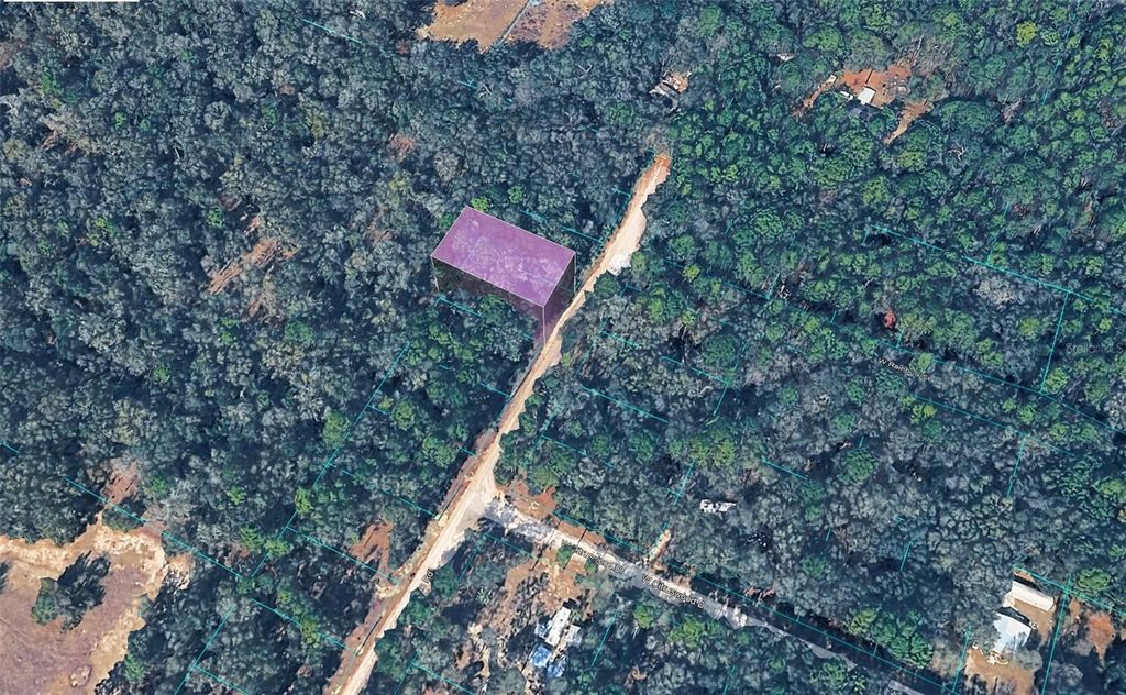 Photo of 10452 N Dunedin Road, Dunnellon, FL 34433 (MLS # TB8487297)