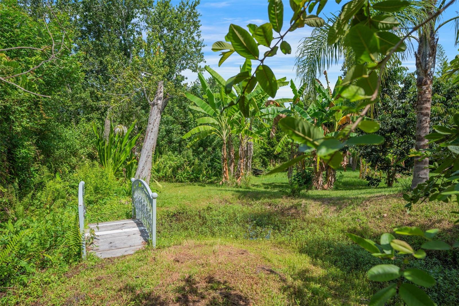 CEDAR HOLLOW - Residential