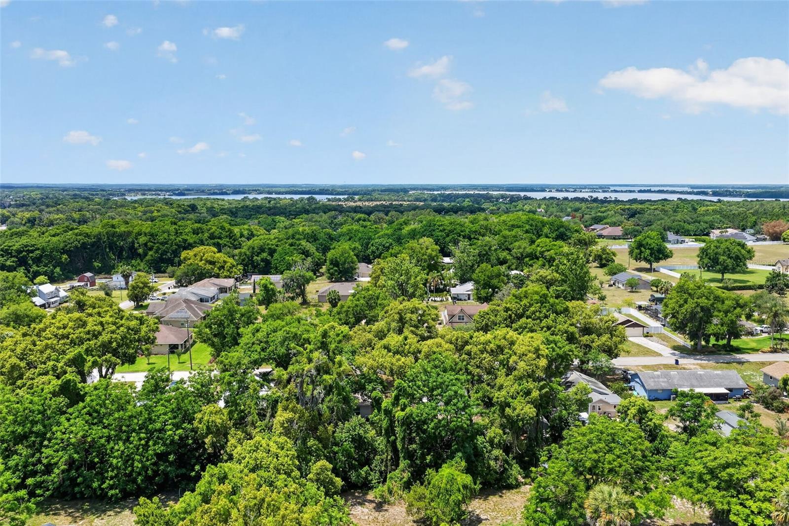 TANGERINE - Residential