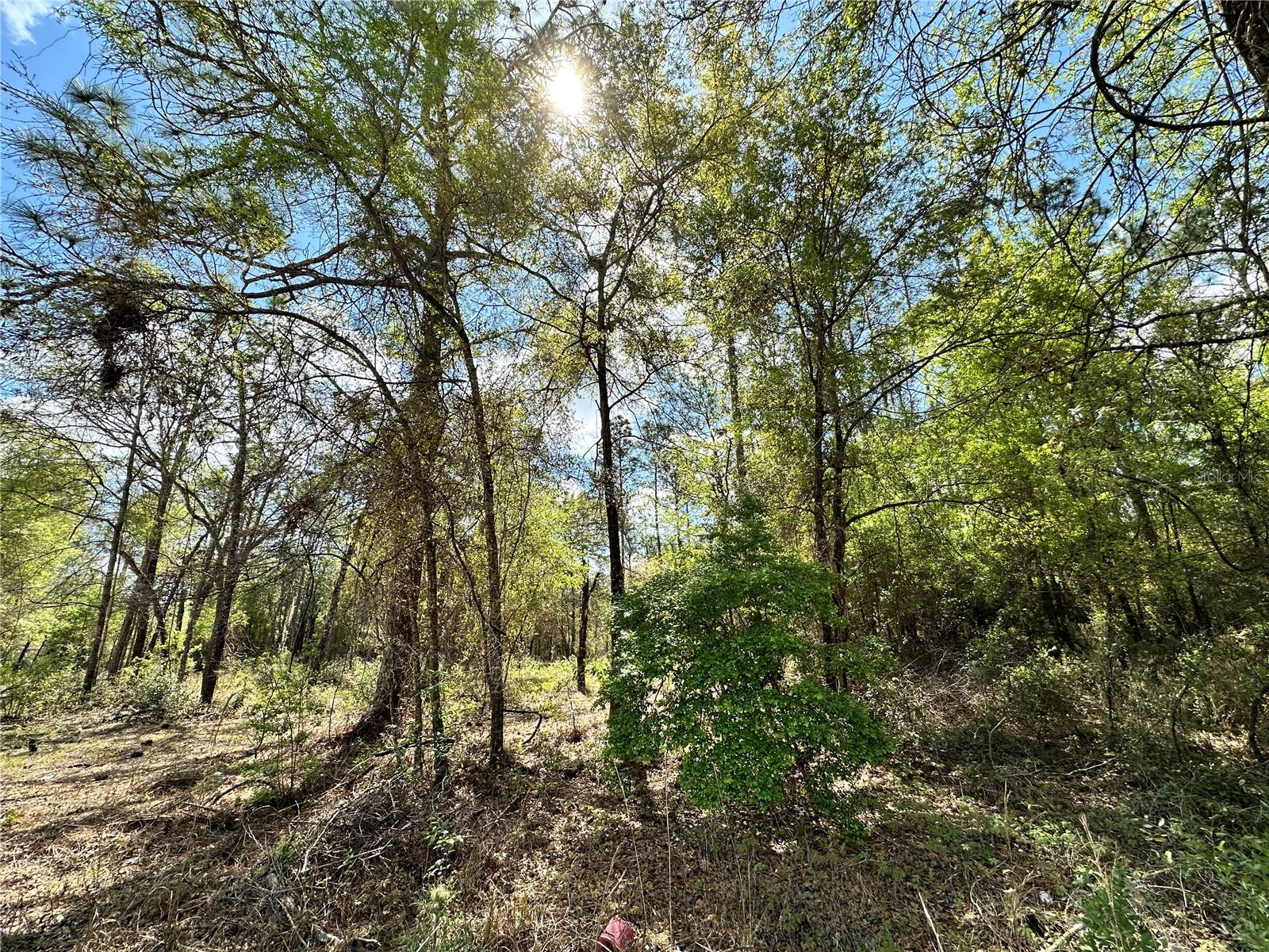 4TH ADD TO BRONSON HEIGHTS - Land