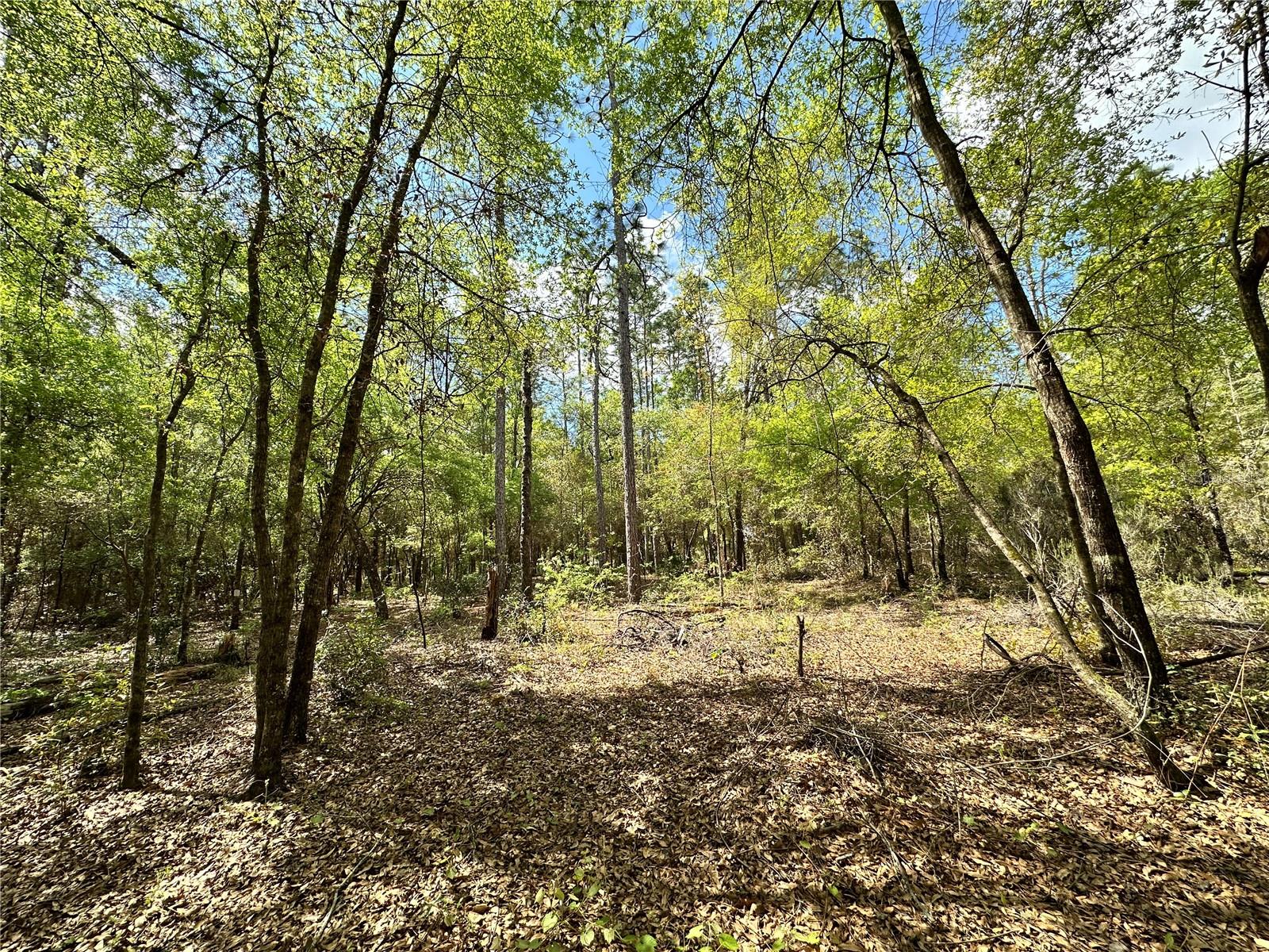 4TH ADD TO BRONSON HEIGHTS - Land