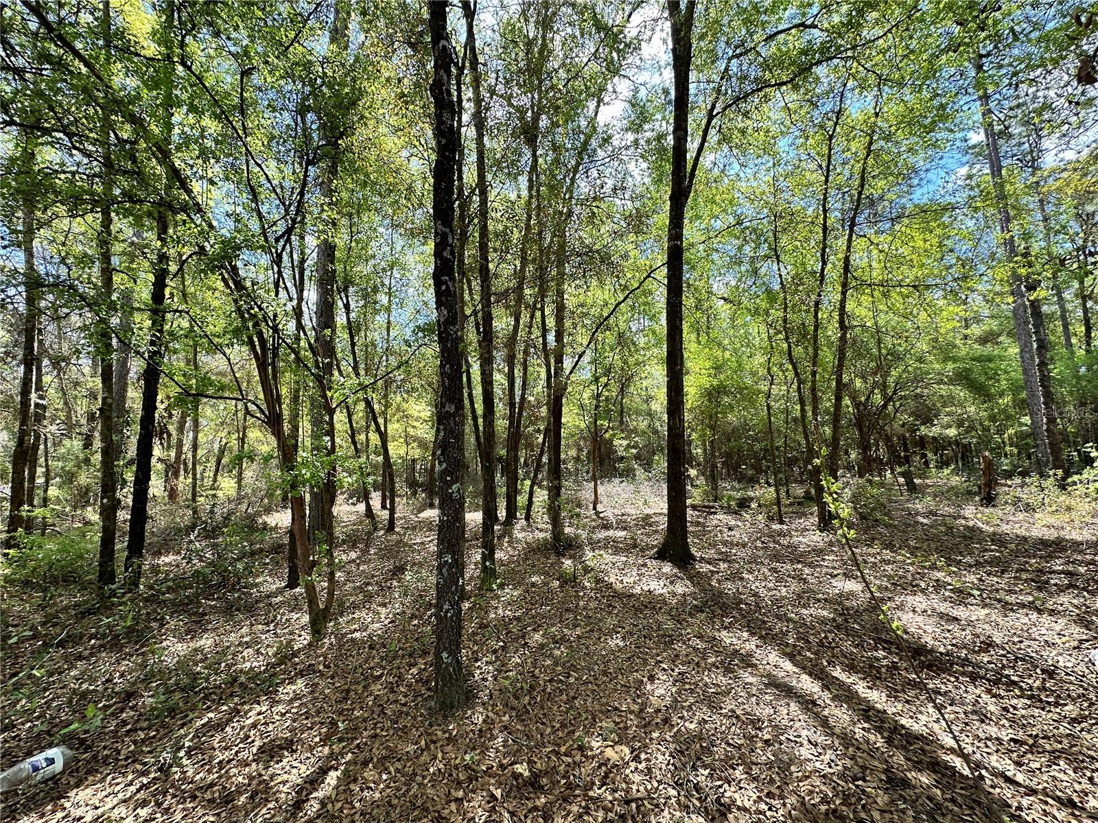 4TH ADD TO BRONSON HEIGHTS - Land