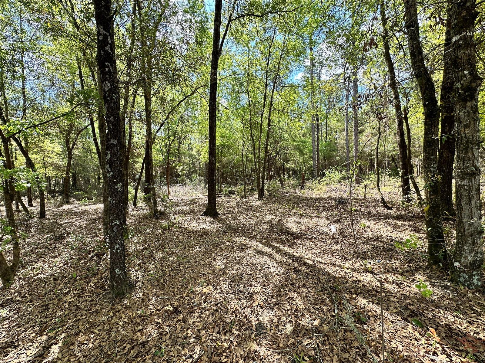 4TH ADD TO BRONSON HEIGHTS - Land