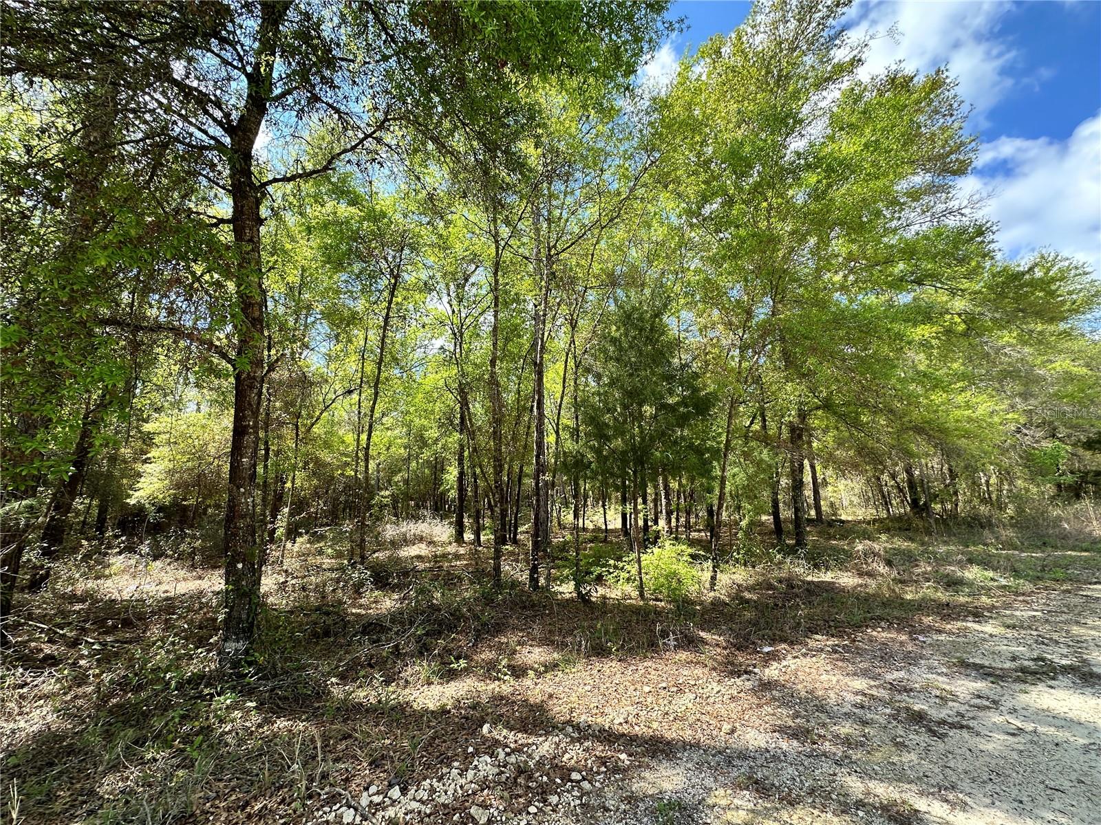 4TH ADD TO BRONSON HEIGHTS - Land