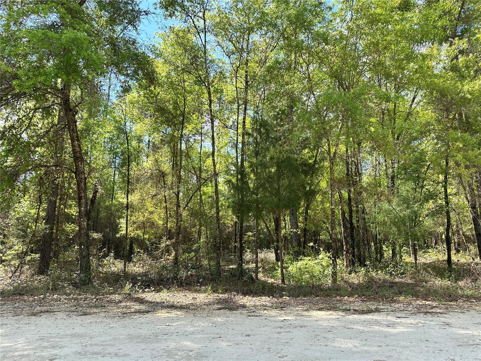 4TH ADD TO BRONSON HEIGHTS - Land