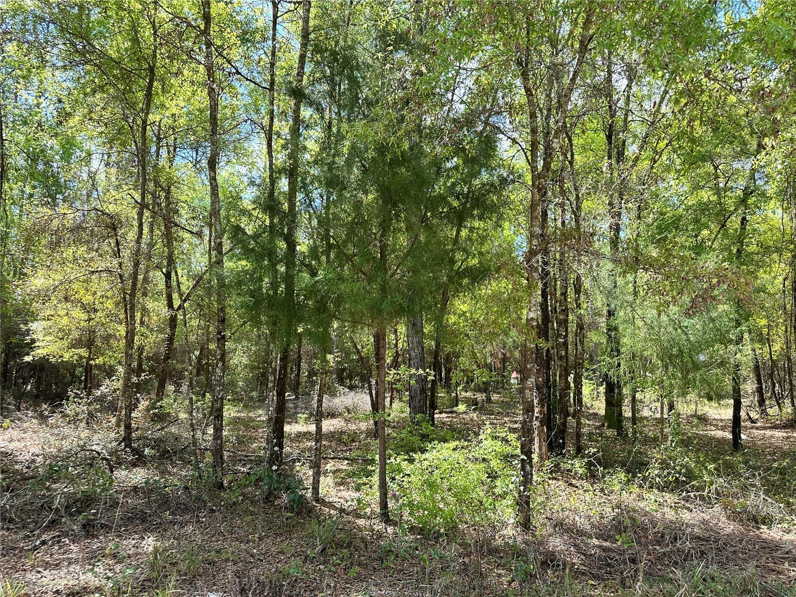 4TH ADD TO BRONSON HEIGHTS - Land