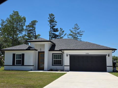 Photo of 14886 SW 43rd Court, Ocala, FL 34473 (MLS # O6421256)