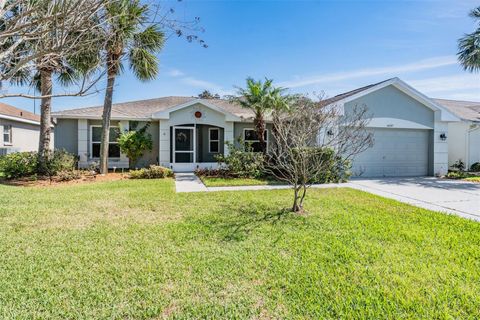 10237 COLLAR DRIVE SAN ANTONIO FL 33576