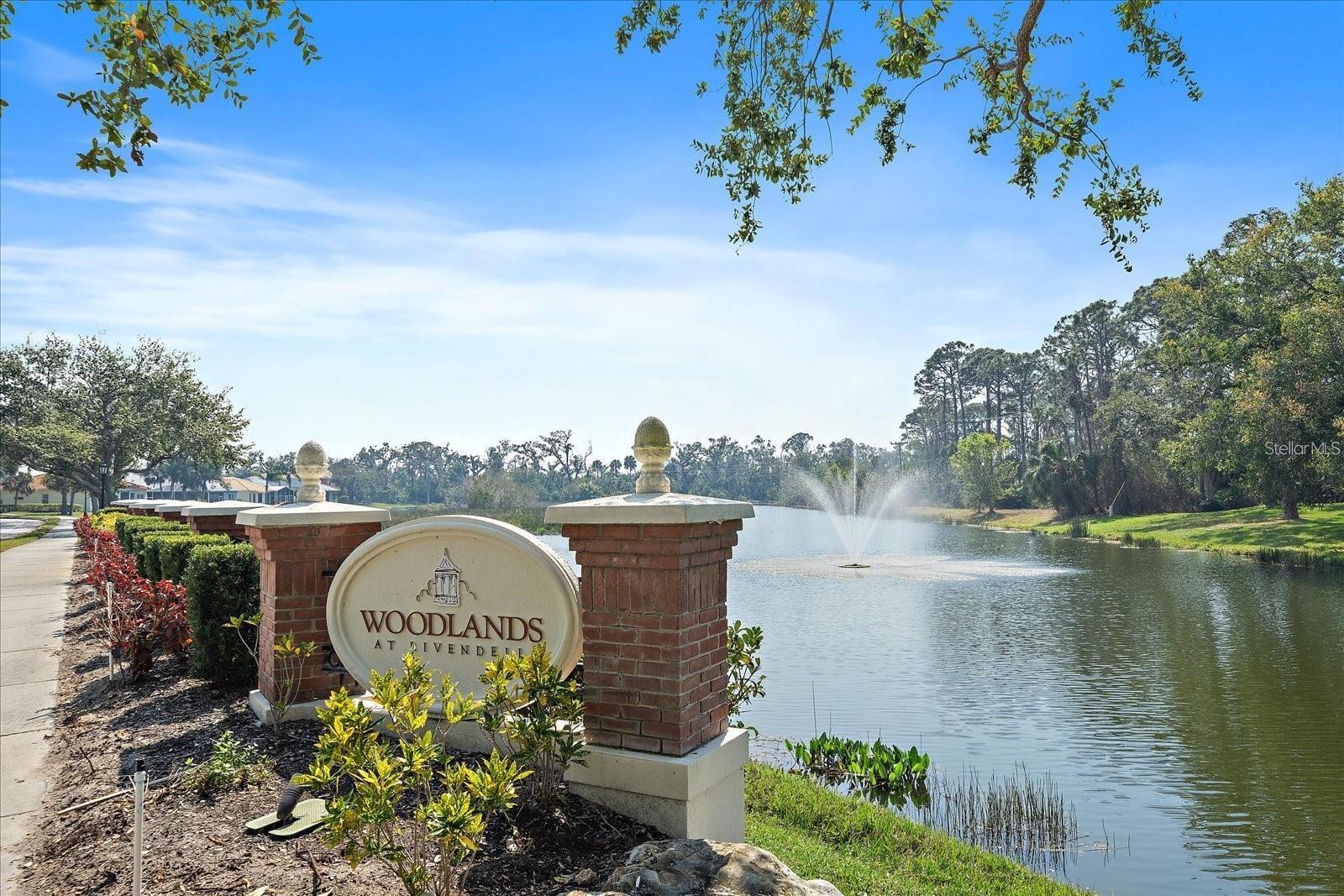 RIVENDELL THE WOODLANDS - Residential