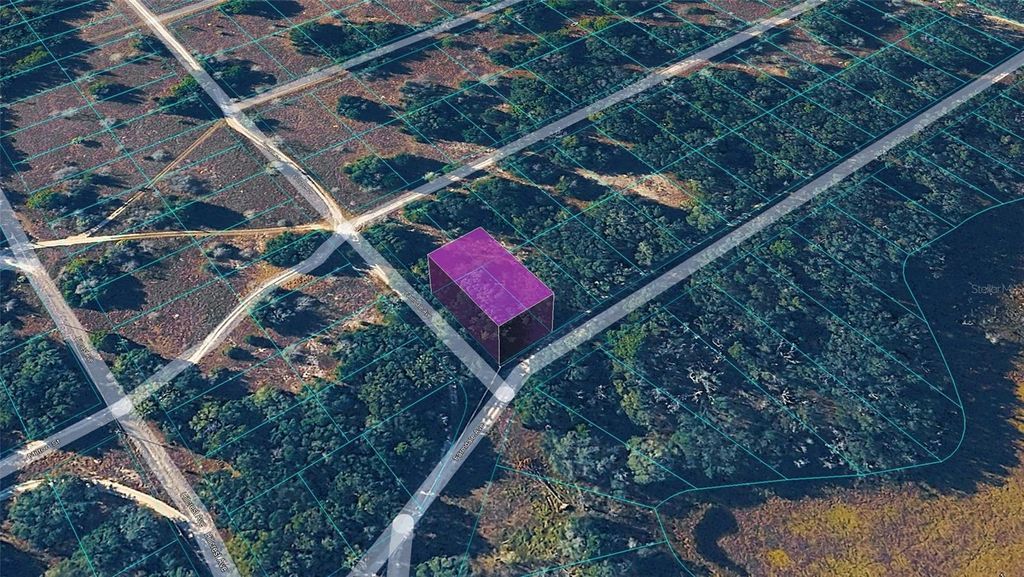 Photo of 2301 Eisenhower Street, Inverness, FL 34453 (MLS # TB8487702)