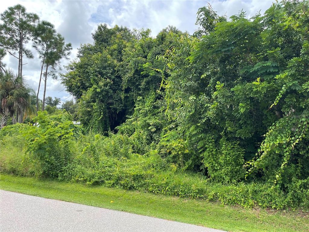 Photo of 11329 Pinetrail Road, Punta Gorda, FL 33955 (MLS # C7514929)